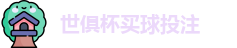 足球世界俱乐部杯2025